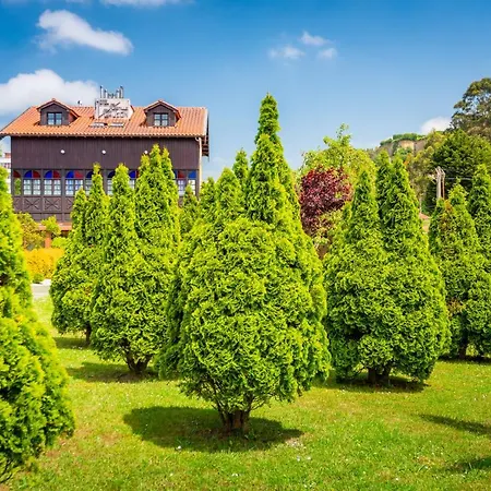 Castillo De Gauzón Salinas (Castrillon)
