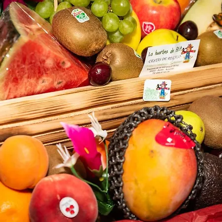 酒店 卡斯蒂洛高森酒店 3*