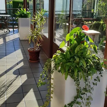 卡斯蒂洛高森酒店 3* 萨利纳斯