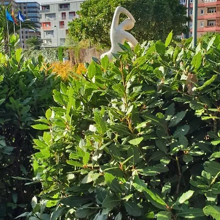 酒店 卡斯蒂洛高森酒店 3*