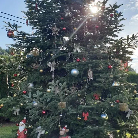 卡斯蒂洛高森酒店