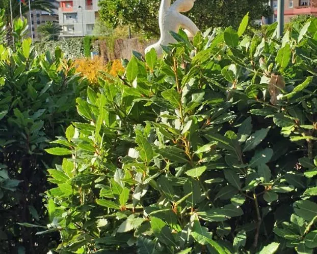 Hotel Castillo De Gauzon 3*