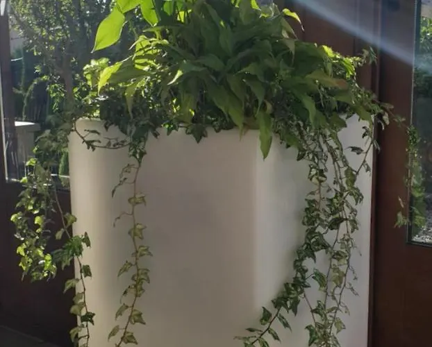 Castillo De Gauzón Hotel 3*